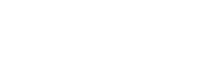 Toys R Us